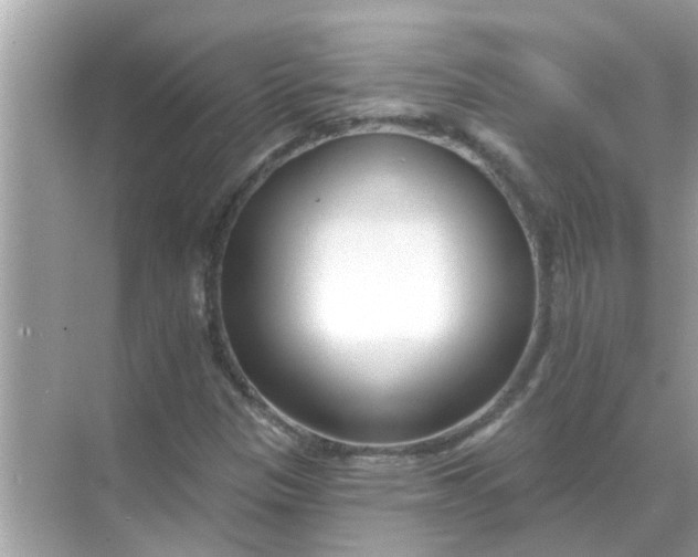 X0000070881305200606302127