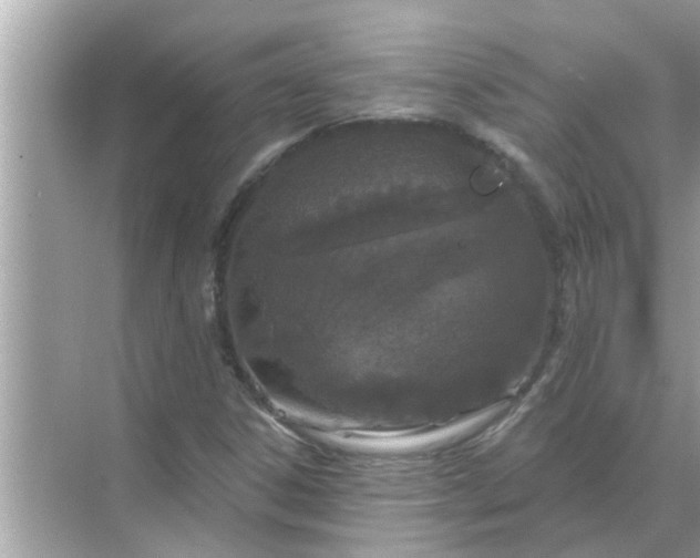 X0000070881306200606302127