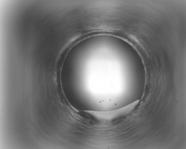 X0000070881307200606302127