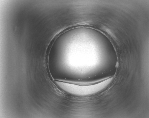 X0000070881308200606302127