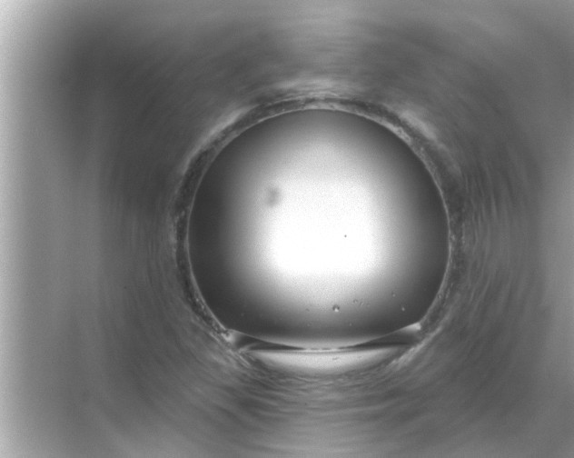 X0000070881309200606302127