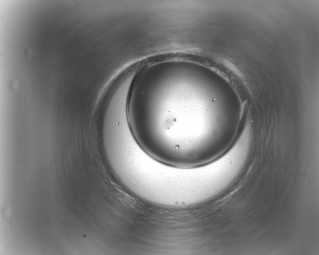 X0000070881310200606302127