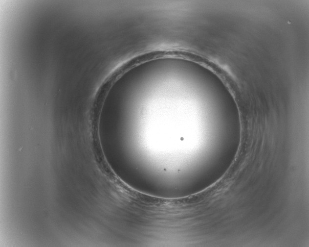 X0000070881311200606302127