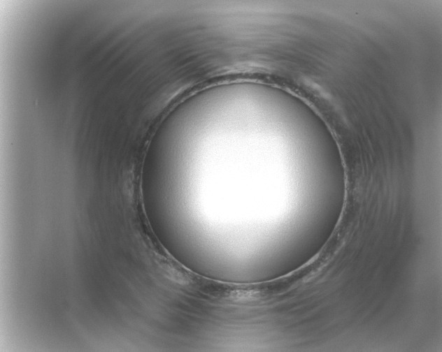 X0000070881313200606302127