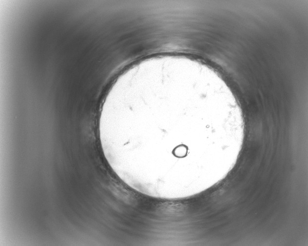 X0000070881314200606302127