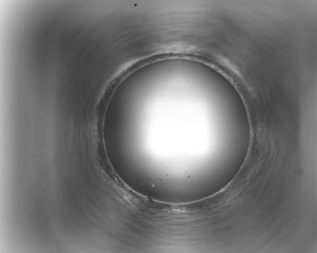 X0000070881315200606302127