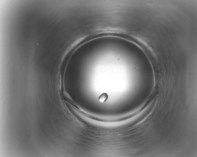 X0000070881317200606302127