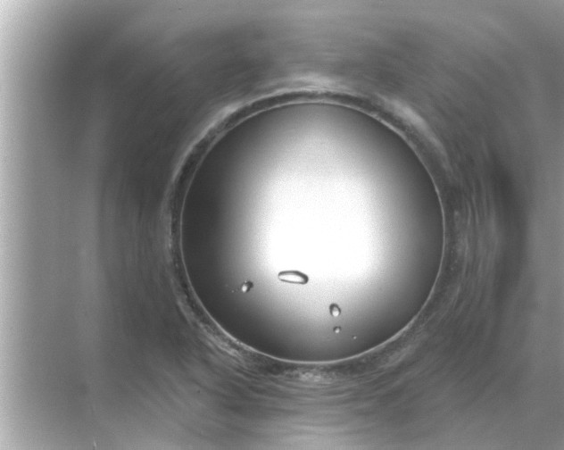 X0000070881318200606302127