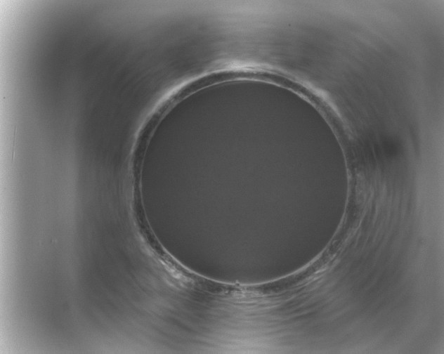 X0000070881319200606302127