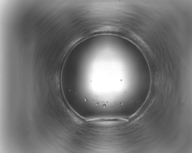 X0000070881321200606302127