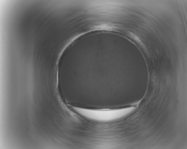 X0000070881323200606302127