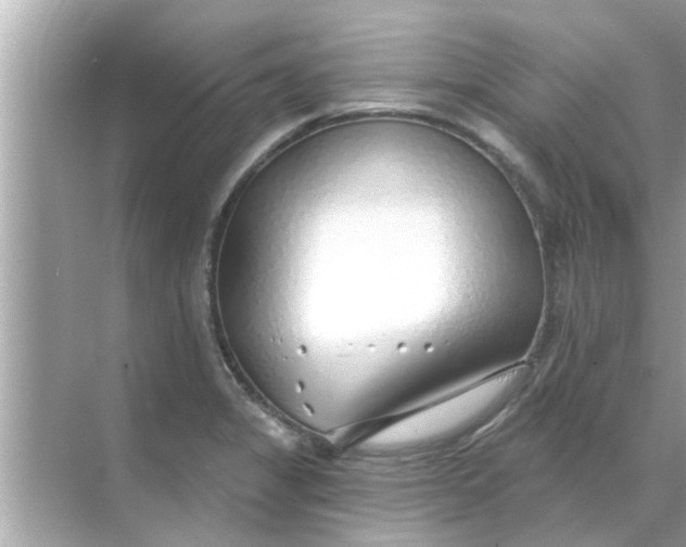 X0000070881325200606302127