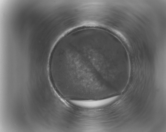 X0000070881327200606302127