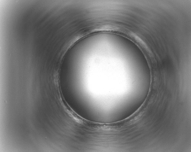 X0000070881329200606302127