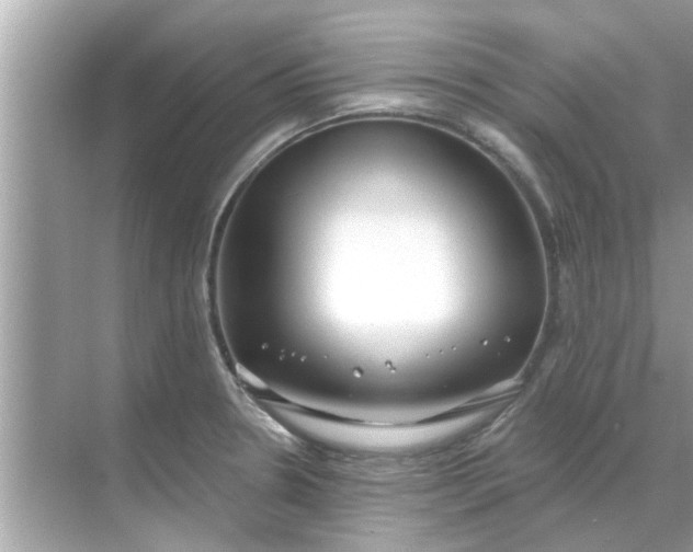 X0000070881330200606302127