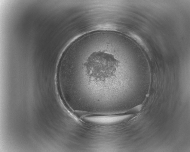 X0000070881331200606302127