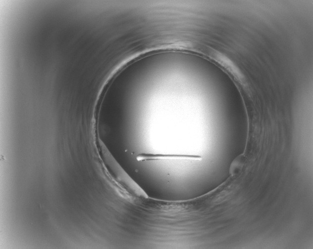 X0000070881332200606302127