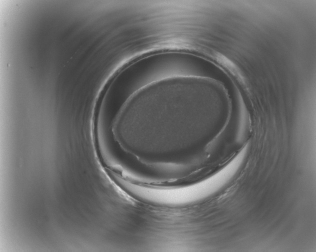 X0000070881334200606302127