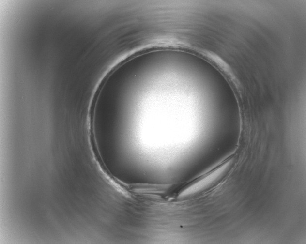 X0000070881335200606302127