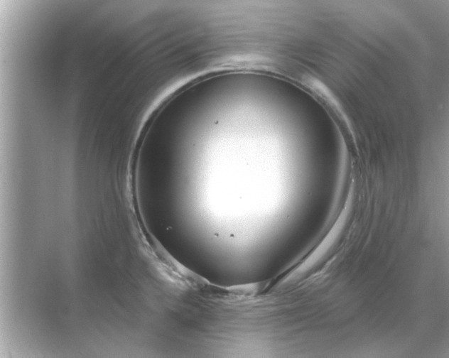 X0000070881336200606302127