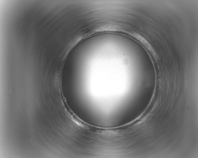 X0000070881337200606302127