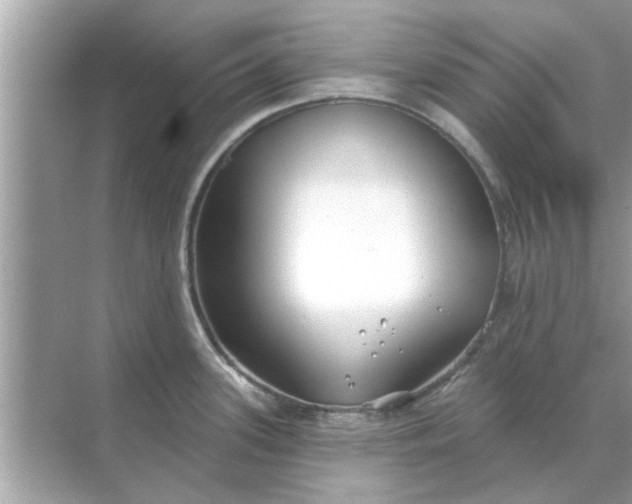 X0000070881339200606302128