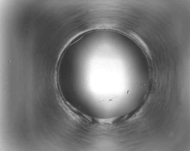 X0000070881340200606302128