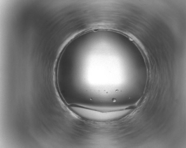 X0000070881341200606302128