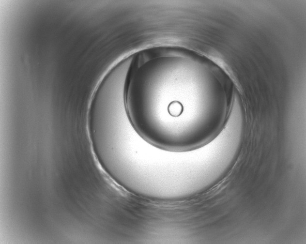 X0000070881342200606302128