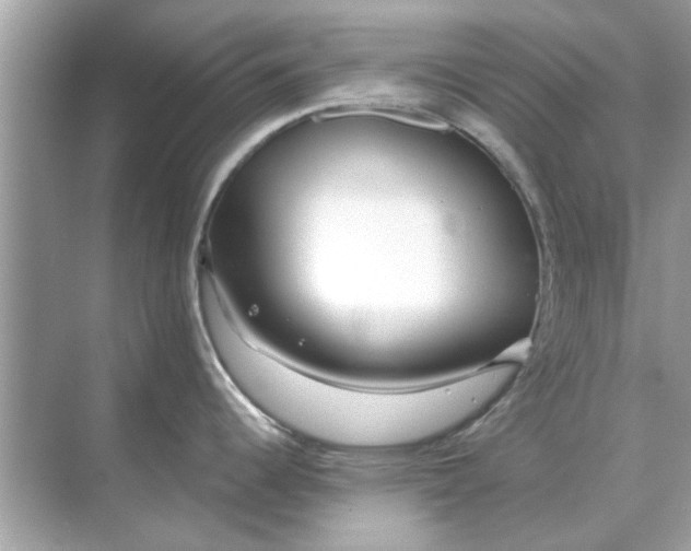 X0000070881344200606302128