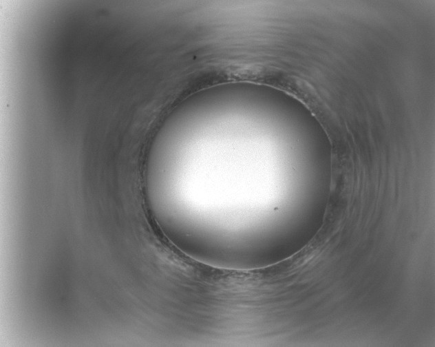 X0000070881345200606302127