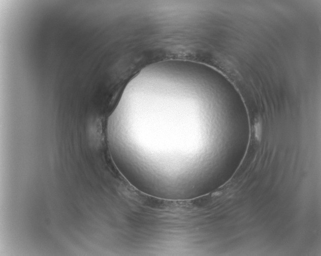 X0000070881347200606302127