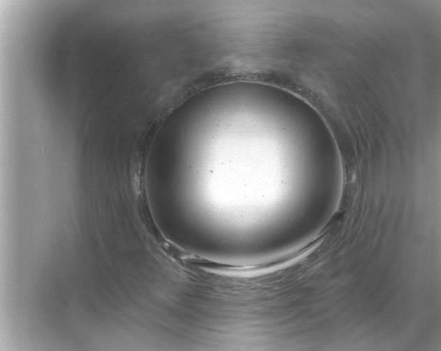 X0000070881348200606302127