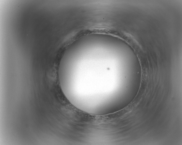 X0000070881350200606302127