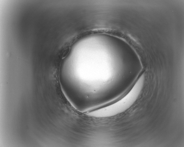 X0000070881351200606302127