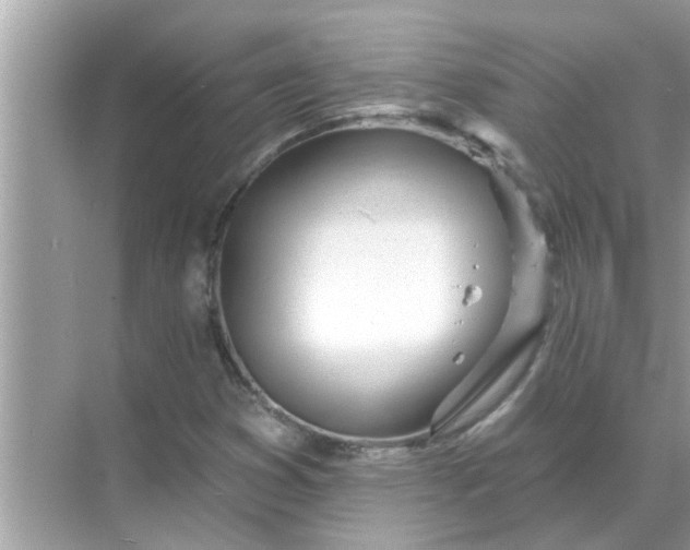 X0000070881353200606302127