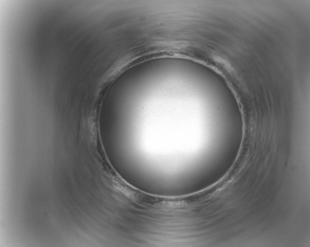 X0000070881354200606302127