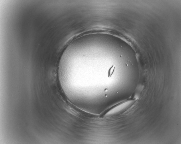 X0000070881355200606302127