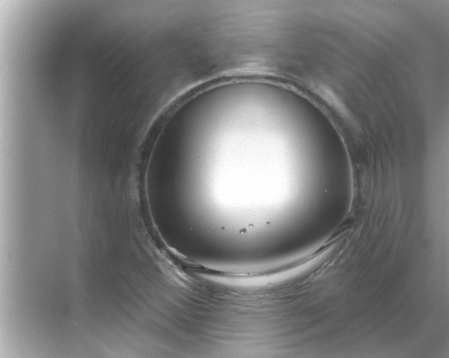 X0000070881356200606302127