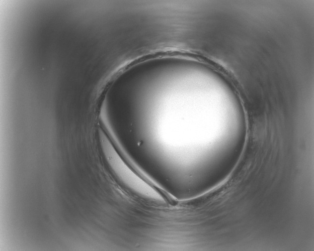 X0000070881359200606302127