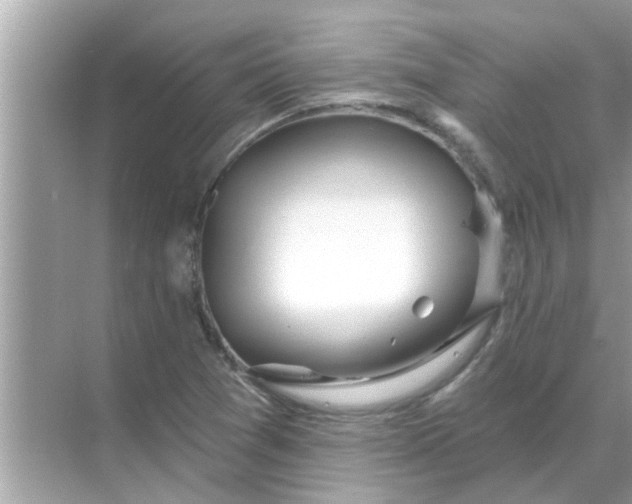 X0000070881361200606302127