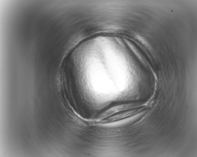 X0000070881362200606302127