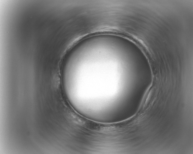 X0000070881363200606302126