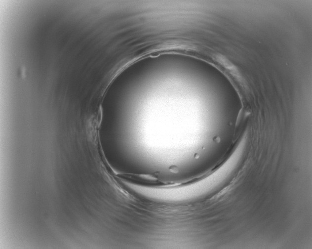 X0000070881369200606302126