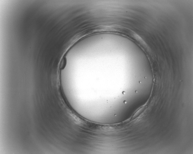 X0000070881370200606302126