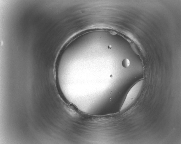 X0000070881372200606302126