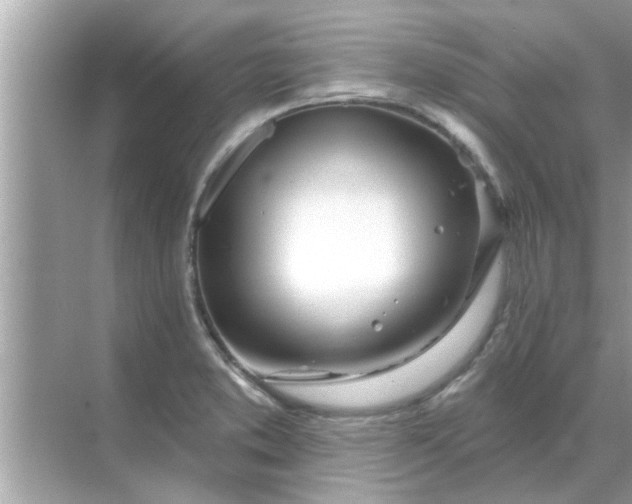 X0000070881373200606302126