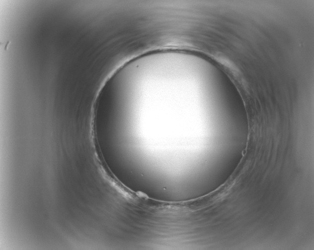 X0000070881374200606302126