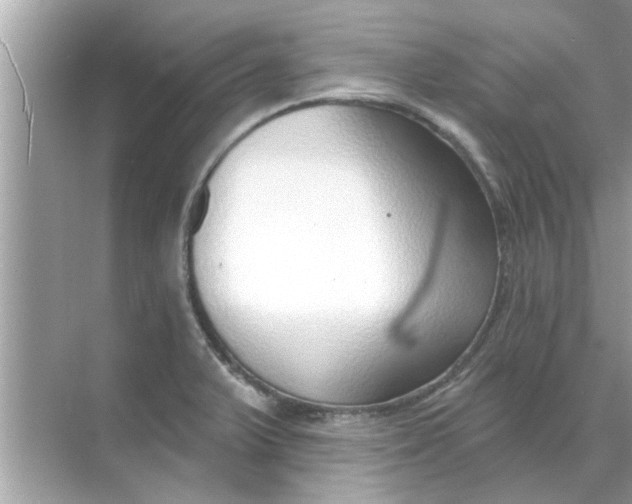 X0000070881375200606302126