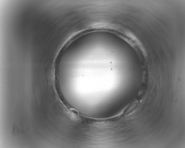 X0000070881376200606302126